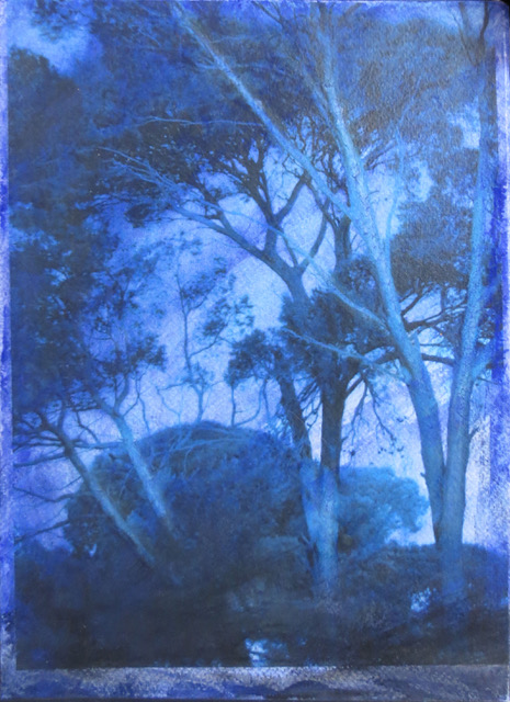 Mariebleu