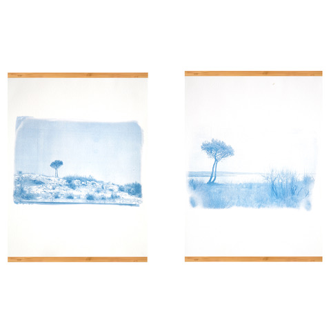 Bruel Fanette photo cyanotype 1